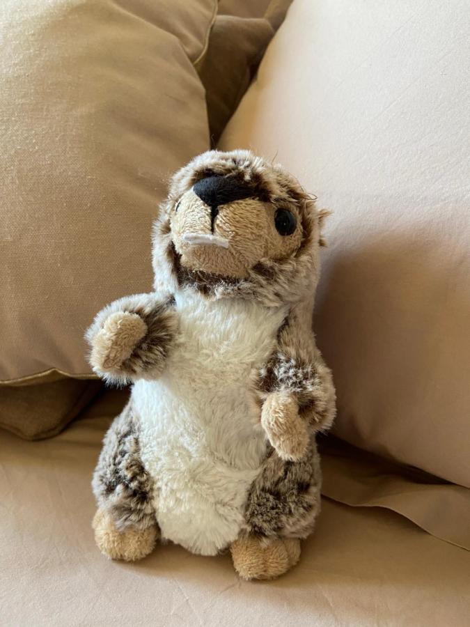 르그랑보르낭 La Marmotte Qui Papote 아파트 외부 사진